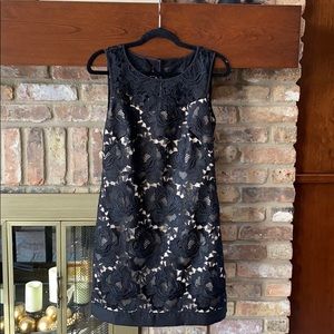 White House Black Market Lace Overlay Dress